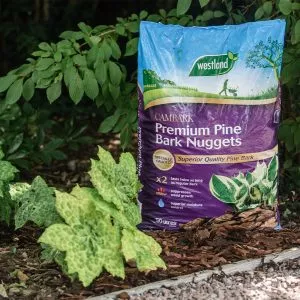 premium bark nuggets