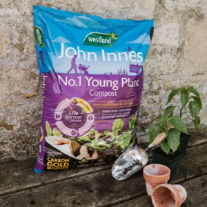 Westland John Innes Peat Free No.1 Young Plant Compost