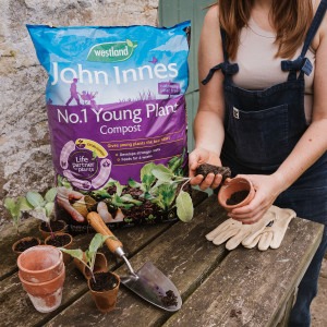 westland john innes peat free no1 young plant compost