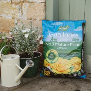 Westland John Innes No.3 Mature Plant Compost