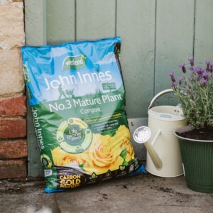 Westland John Innes No.3 Mature Plant Compost