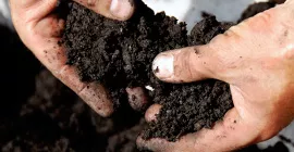 What is Compost?