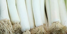 How to Grow Leeks