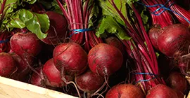 How to Grow Beetroot