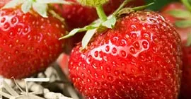 How to Grow Strawberries