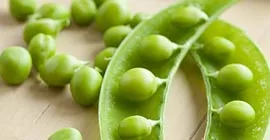 How to Grow Peas