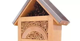 Bug Boxes