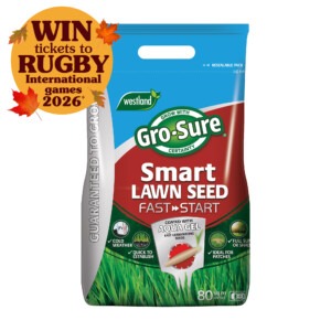 smart seed fast start 80sqm