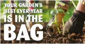 Look forward to a ‘vintage’ year in your garden!