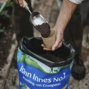 john innes no2 potting on compost in use