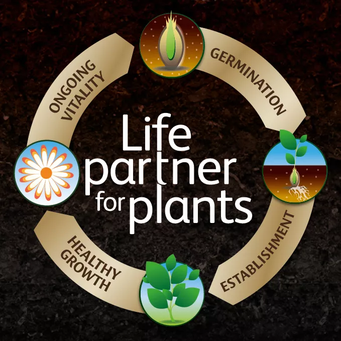 John Innes Seed life partner for plants