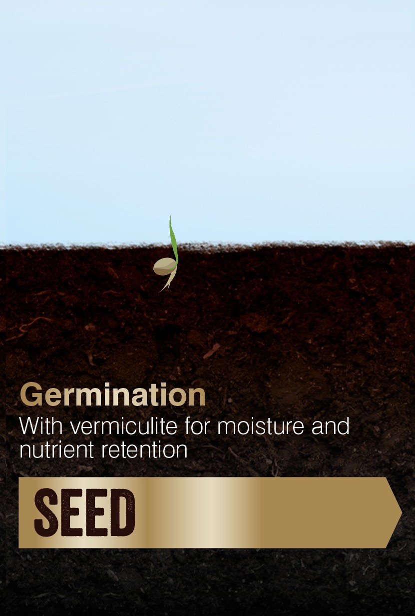 John Innes Seed Sowing Compost John Innes Westland Garden Health