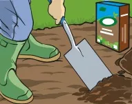 Image of a person with a spade applying farmyard manure to a patch in a lawn.
