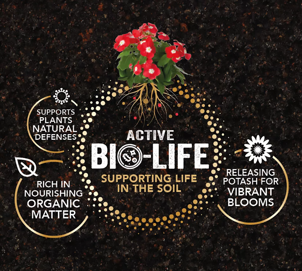 Bio Life infographic