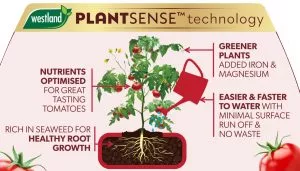 big tom plant sense technology