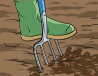 A foot on a garden fork mixing farmyard manure into the ground.
