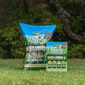 Aftercut Ultra Green Plus Lawn Feed Westland Garden Health