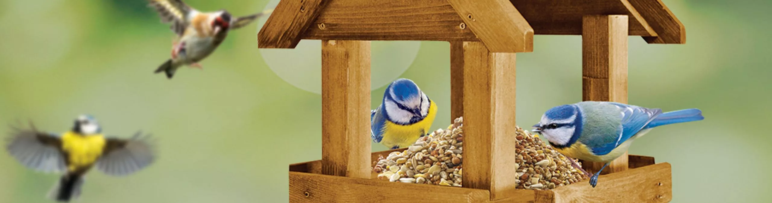 Food For Bird Tables Bird Care Advice Westland Garden Health