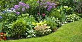 Create Beautiful Garden Borders