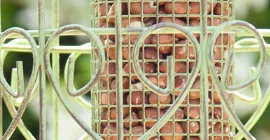 Choosing and caring for your bird feeders and tables