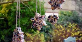How to make your own Festive Bird Feeder