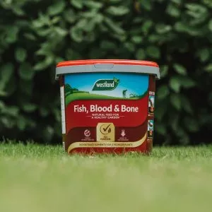 fish, blood and bone 10kg in situ