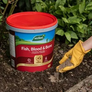 fish, blood and bone 10kg in soil autumn gardening