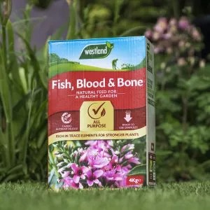 fish, blood & bone on grass