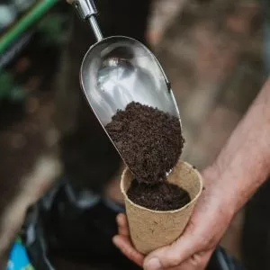 john innes no2 potting on compost in use