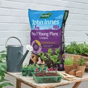 john innes peat free young plant compost in greenhouse