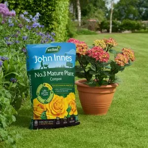 John Innes no 3 Mature Compost lifestyle