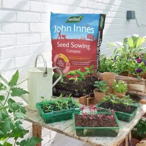 john innes seed sowing compost peat free 28l in situ