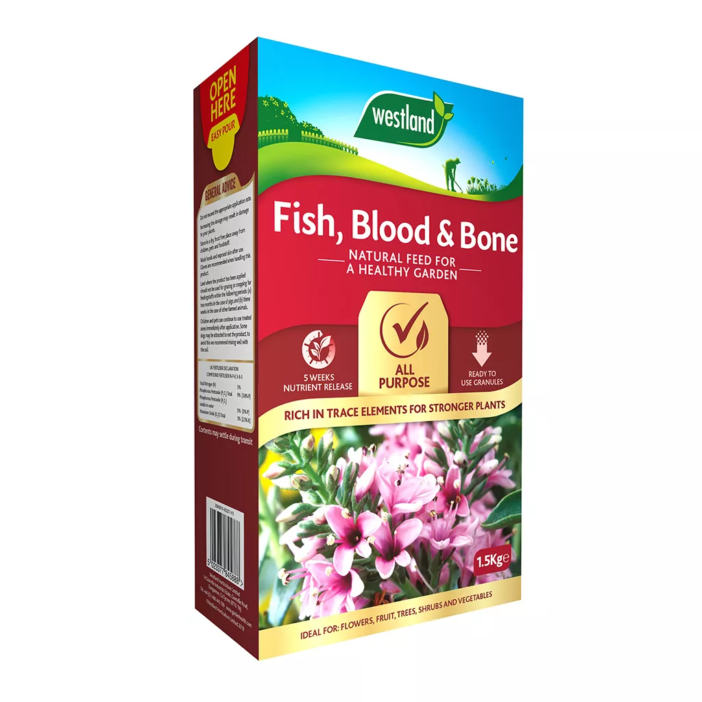 Fish Blood Bone