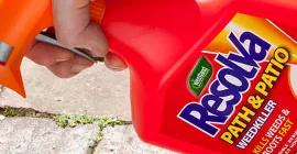How to dispose of garden chemicals safely