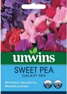 sweet pea galazy mix unwins