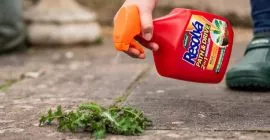 How to Kill Weeds on your Path or Patio