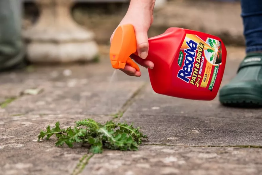 Patio weed killer deals