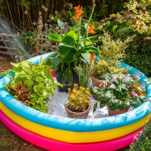 august gardening holiday watering in paddling pool