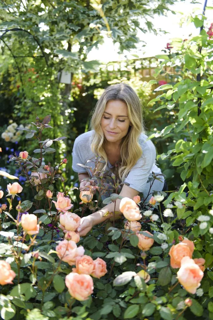 Woman pruning roses