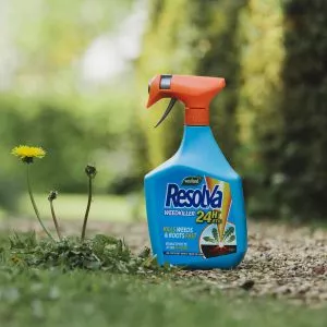 Resolva 24H RTU on grass
