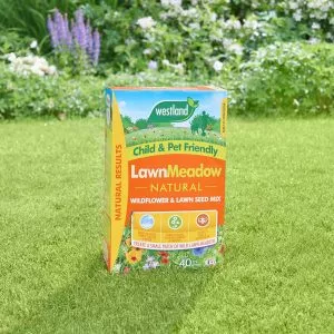 lawn meadow