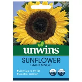 Unwins Sunflower Giant Single