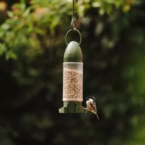 Peckish Extra Goodness Crumble Mix ready to use filled feeder with bird