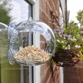 Peckish Globe Window Feeder on window