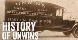 Unwins History