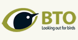 Robin  BTO - British Trust for Ornithology