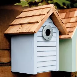 beach hut nest box blue