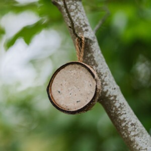 Gardman Suet Filled Coconut hanging in tree