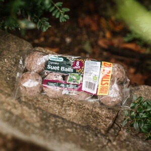 Gardman Supreme Suet Balls 8 Pack
