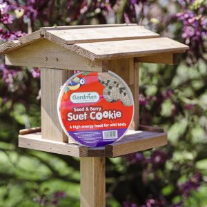 gardman berry suet cookie on bird table